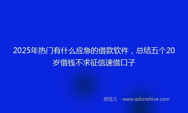 2025年热门有什么应急的借款软件，总结五个20岁借钱不求征信速借口子