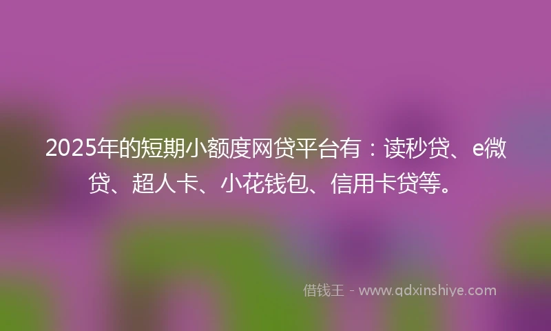 2025年的短期小额度网贷平台有：读秒贷、e微贷、超人卡、小花钱包、信用卡贷等。