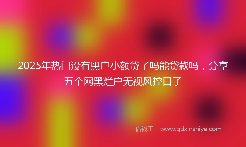 2025年热门没有黑户小额贷了吗能贷款吗，分享五个网黑烂户无视风控口子