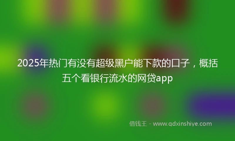 2025年热门有没有超级黑户能下款的口子，概括五个看银行流水的网贷app