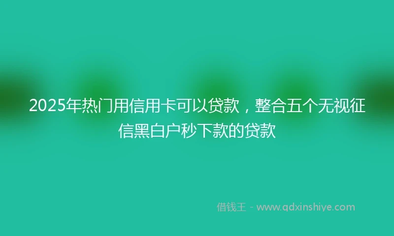 2025年热门用信用卡可以贷款，整合五个无视征信黑白户秒下款的贷款
