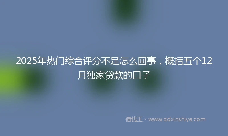 2025年热门综合评分不足怎么回事，概括五个12月独家贷款的口子