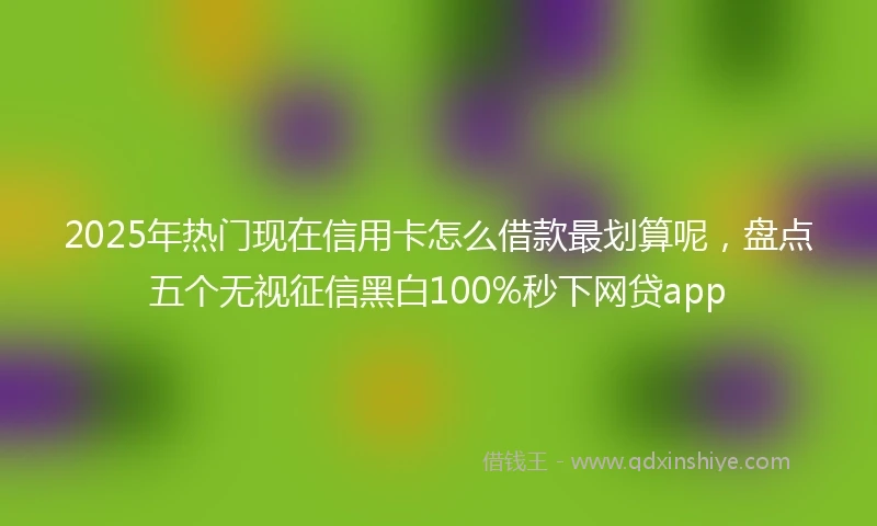 2025年热门现在信用卡怎么借款最划算呢，盘点五个无视征信黑白100%秒下网贷app
