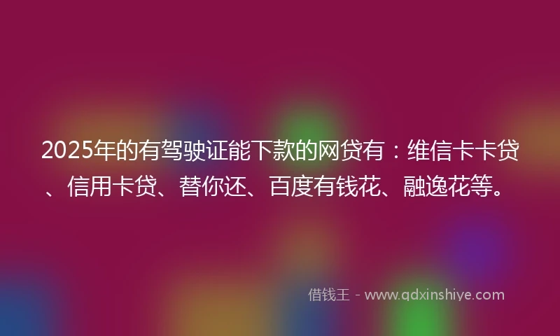 2025年的有驾驶证能下款的网贷有：维信卡卡贷、信用卡贷、替你还、百度有钱花、融逸花等。