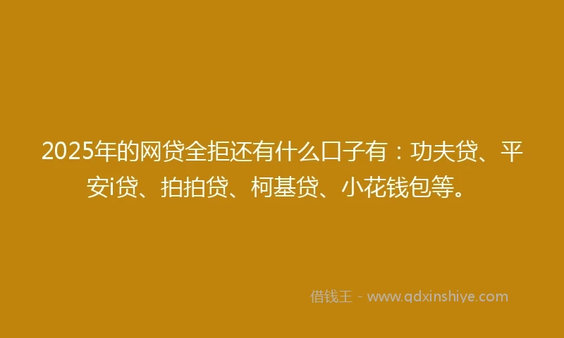 2025年的网贷全拒还有什么口子有：功夫贷、平安i贷、拍拍贷、柯基贷、小花钱包等。