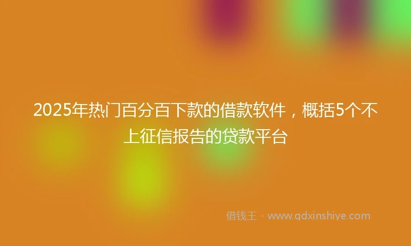 2025年热门百分百下款的借款软件，概括5个不上征信报告的贷款平台