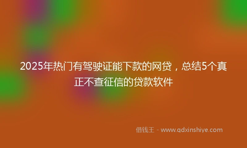 2025年热门有驾驶证能下款的网贷，总结5个真正不查征信的贷款软件
