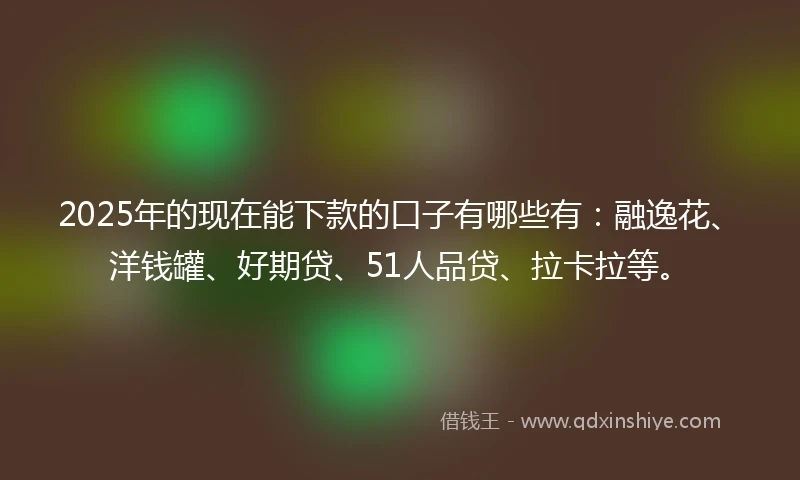 2025年的现在能下款的口子有哪些有：融逸花、洋钱罐、好期贷、51人品贷、拉卡拉等。