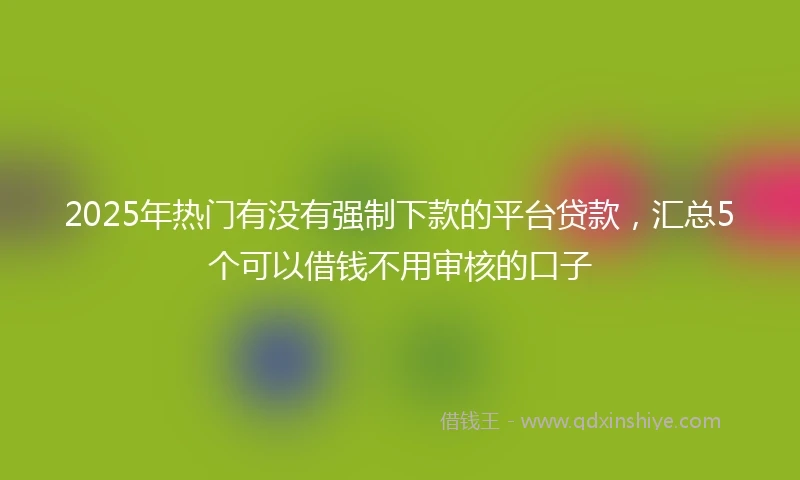 2025年热门有没有强制下款的平台贷款，汇总5个可以借钱不用审核的口子
