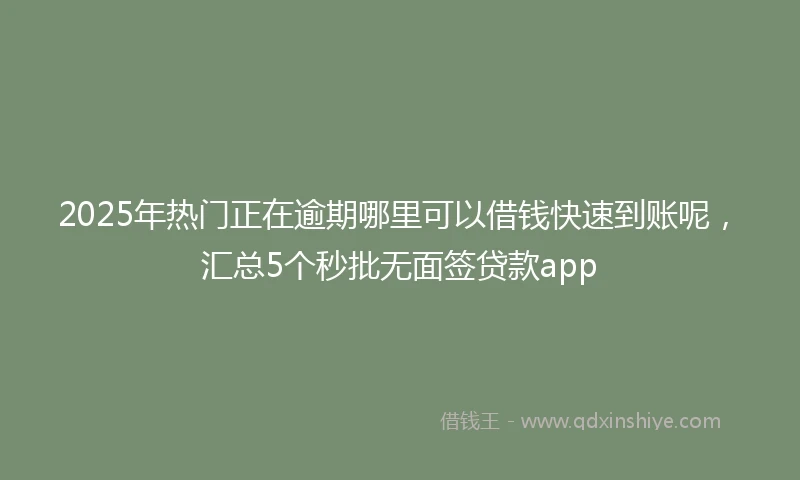 2025年热门正在逾期哪里可以借钱快速到账呢，汇总5个秒批无面签贷款app