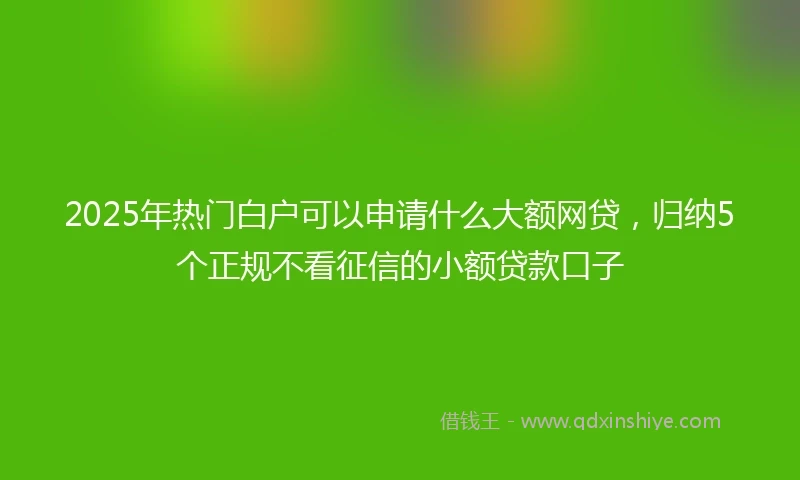 2025年热门白户可以申请什么大额网贷，归纳5个正规不看征信的小额贷款口子