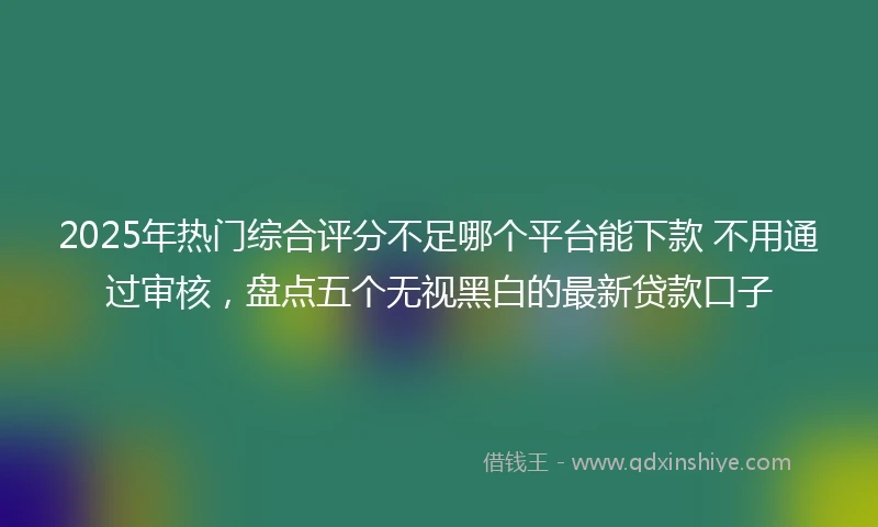 2025年热门综合评分不足哪个平台能下款 不用通过审核，盘点五个无视黑白的最新贷款口子