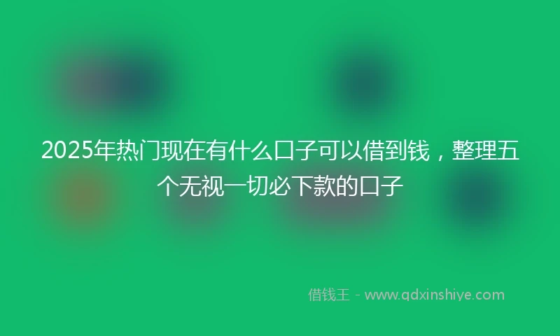 2025年热门现在有什么口子可以借到钱，整理五个无视一切必下款的口子