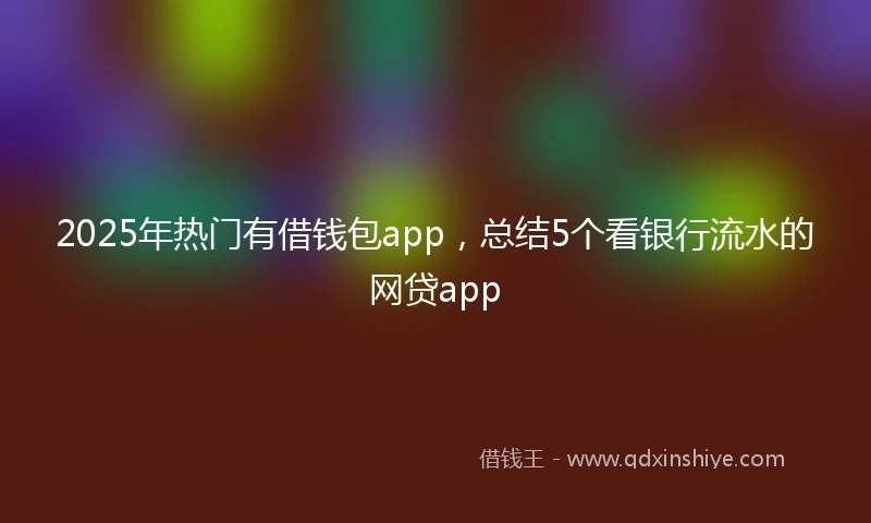 2025年热门有借钱包app，总结5个看银行流水的网贷app