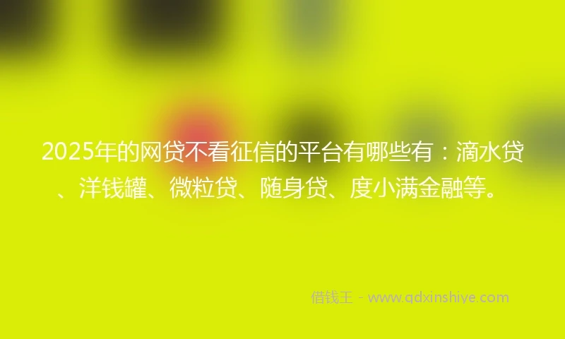 2025年的网贷不看征信的平台有哪些有：滴水贷、洋钱罐、微粒贷、随身贷、度小满金融等。