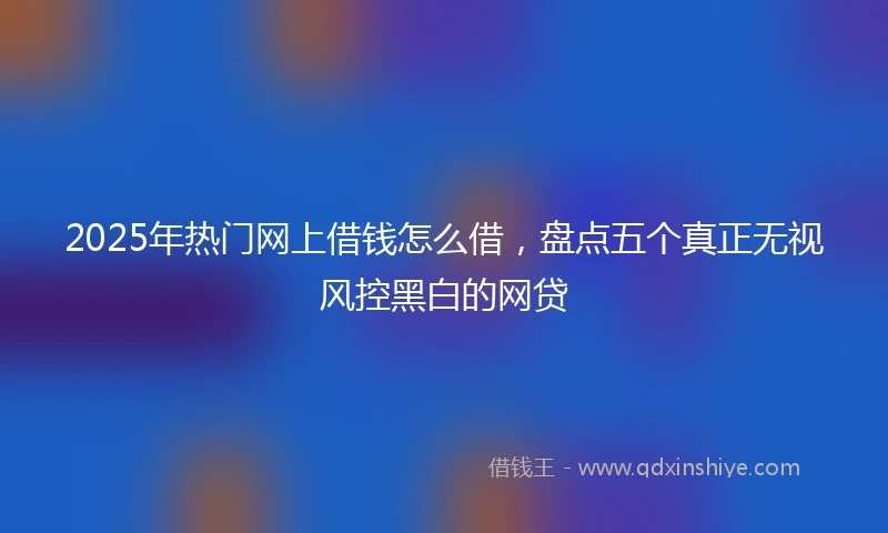 2025年热门网上借钱怎么借，盘点五个真正无视风控黑白的网贷