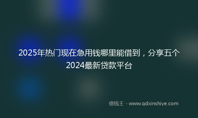 2025年热门现在急用钱哪里能借到，分享五个2024最新贷款平台
