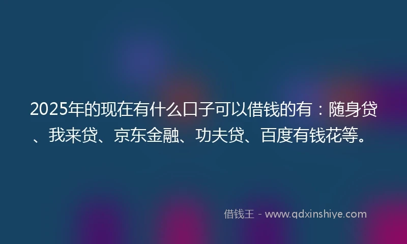 2025年的现在有什么口子可以借钱的有：随身贷、我来贷、京东金融、功夫贷、百度有钱花等。