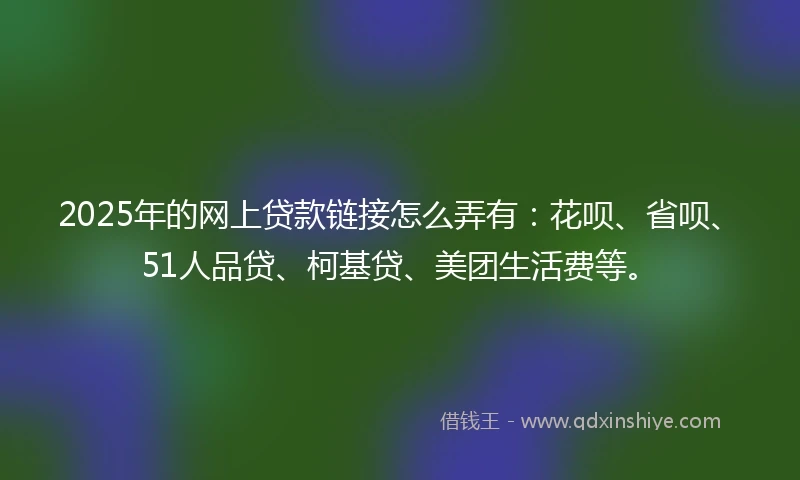 2025年的网上贷款链接怎么弄有：花呗、省呗、51人品贷、柯基贷、美团生活费等。