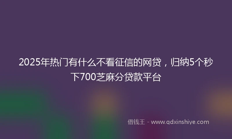 2025年热门有什么不看征信的网贷，归纳5个秒下700芝麻分贷款平台