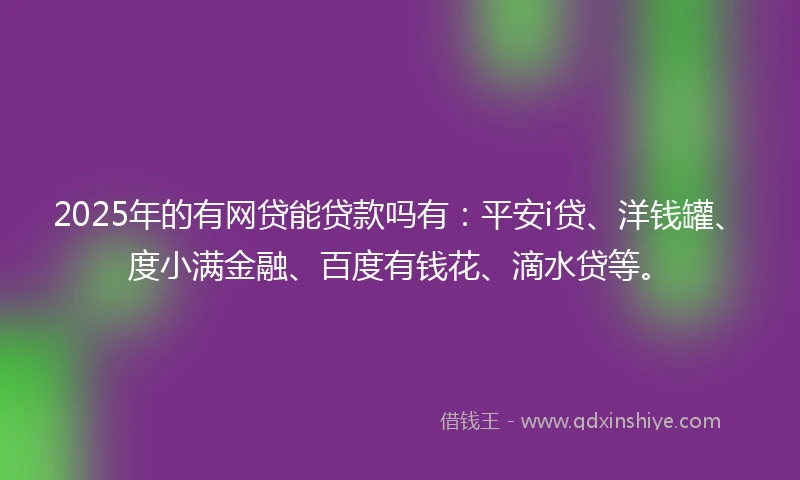 2025年的有网贷能贷款吗有：平安i贷、洋钱罐、度小满金融、百度有钱花、滴水贷等。