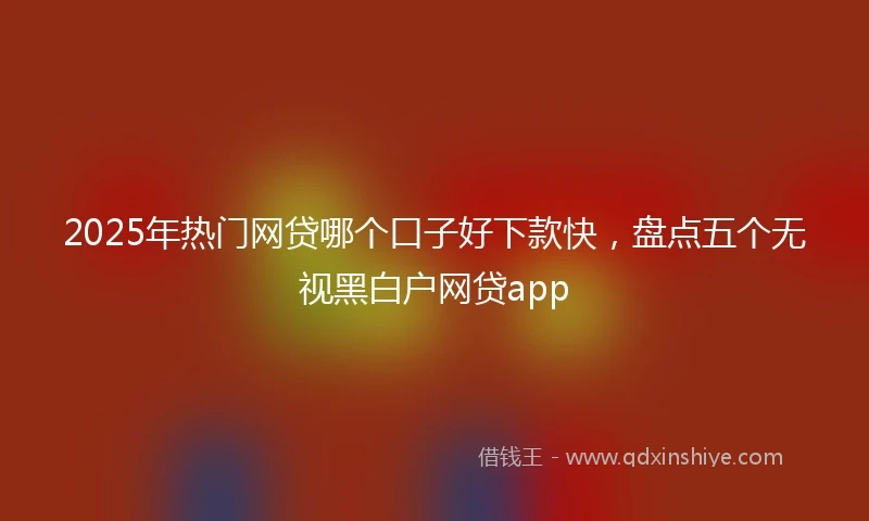 2025年热门网贷哪个口子好下款快，盘点五个无视黑白户网贷app