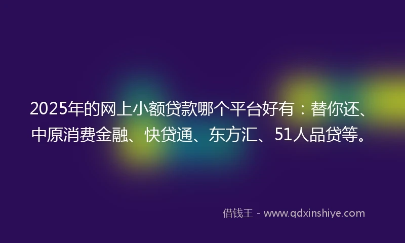 2025年的网上小额贷款哪个平台好有：替你还、中原消费金融、快贷通、东方汇、51人品贷等。