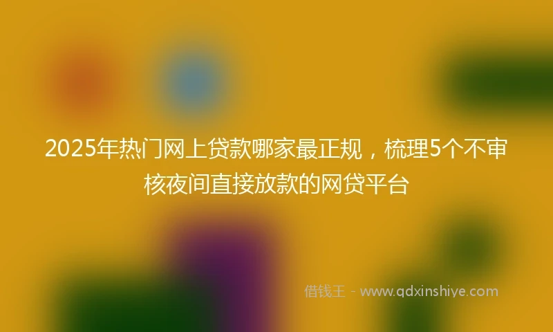 2025年热门网上贷款哪家最正规，梳理5个不审核夜间直接放款的网贷平台