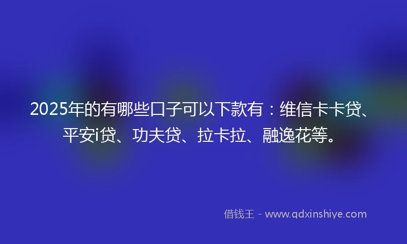 2025年的有哪些口子可以下款有：维信卡卡贷、平安i贷、功夫贷、拉卡拉、融逸花等。