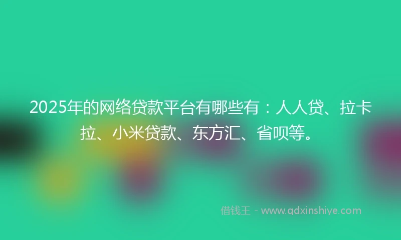 2025年的网络贷款平台有哪些有：人人贷、拉卡拉、小米贷款、东方汇、省呗等。