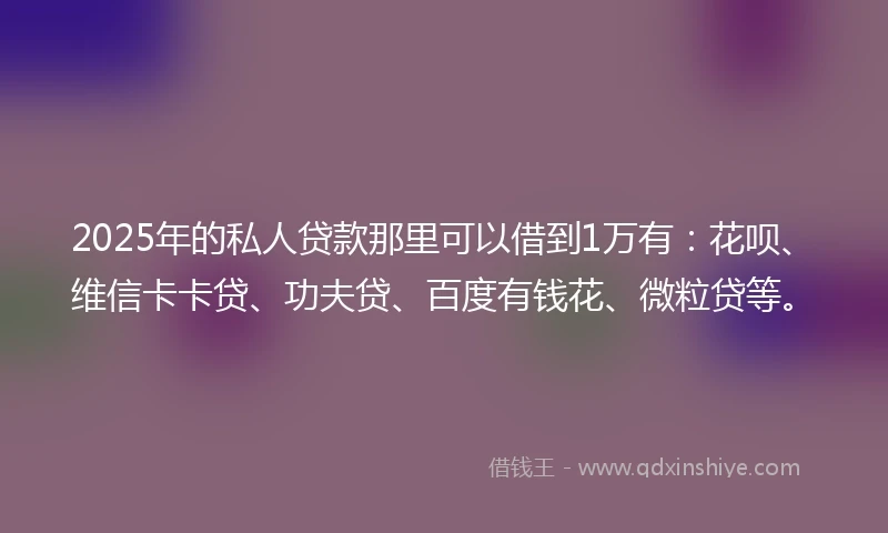 2025年的私人贷款那里可以借到1万有：花呗、维信卡卡贷、功夫贷、百度有钱花、微粒贷等。