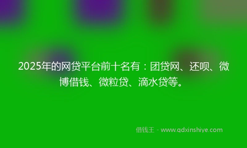 2025年的网贷平台前十名有：团贷网、还呗、微博借钱、微粒贷、滴水贷等。