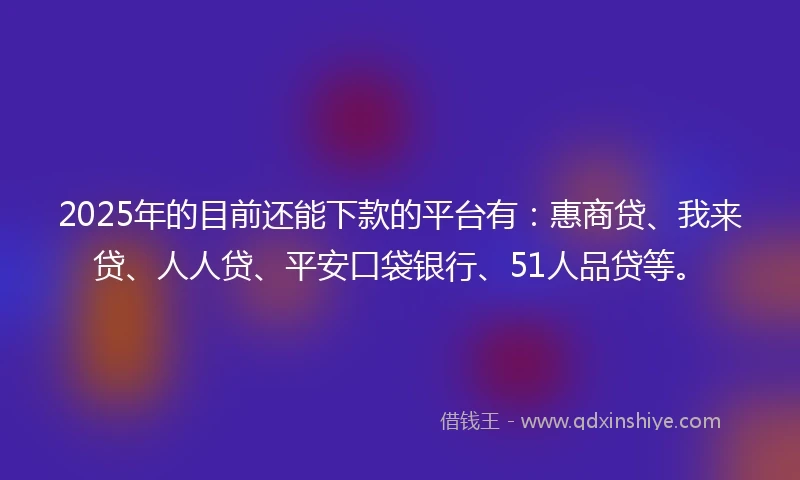 2025年的目前还能下款的平台有：惠商贷、我来贷、人人贷、平安口袋银行、51人品贷等。