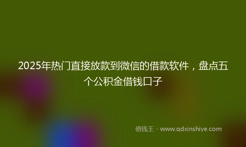 2025年热门直接放款到微信的借款软件，盘点五个公积金借钱口子