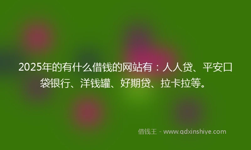 2025年的有什么借钱的网站有：人人贷、平安口袋银行、洋钱罐、好期贷、拉卡拉等。