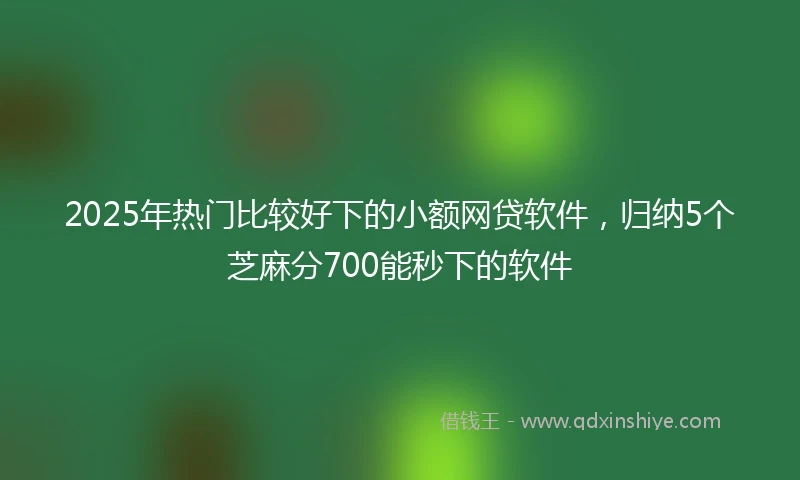 2025年热门比较好下的小额网贷软件，归纳5个芝麻分700能秒下的软件