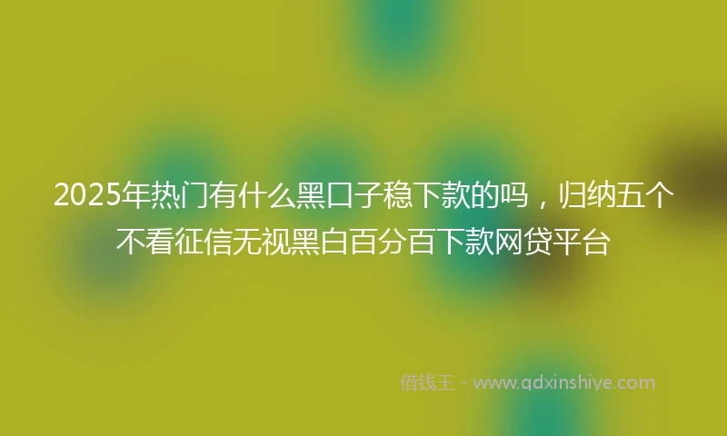 2025年热门有什么黑口子稳下款的吗，归纳五个不看征信无视黑白百分百下款网贷平台