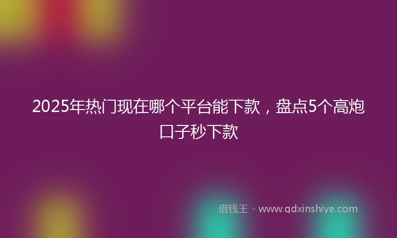 2025年热门现在哪个平台能下款，盘点5个高炮口子秒下款