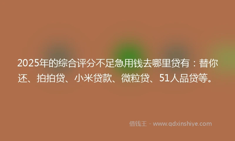 2025年的综合评分不足急用钱去哪里贷有：替你还、拍拍贷、小米贷款、微粒贷、51人品贷等。