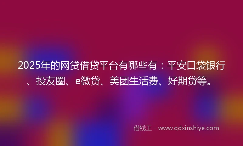 2025年的网贷借贷平台有哪些有：平安口袋银行、投友圈、e微贷、美团生活费、好期贷等。