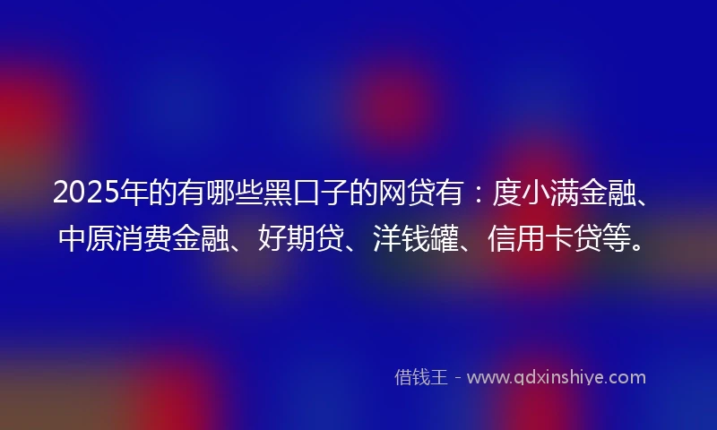 2025年的有哪些黑口子的网贷有：度小满金融、中原消费金融、好期贷、洋钱罐、信用卡贷等。