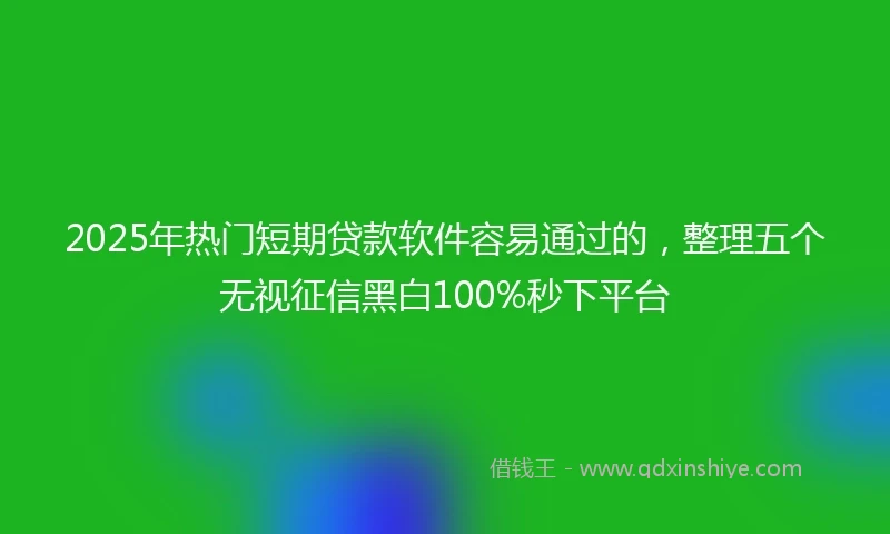 2025年热门短期贷款软件容易通过的，整理五个无视征信黑白100%秒下平台