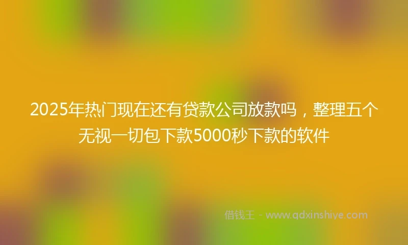 2025年热门现在还有贷款公司放款吗，整理五个无视一切包下款5000秒下款的软件