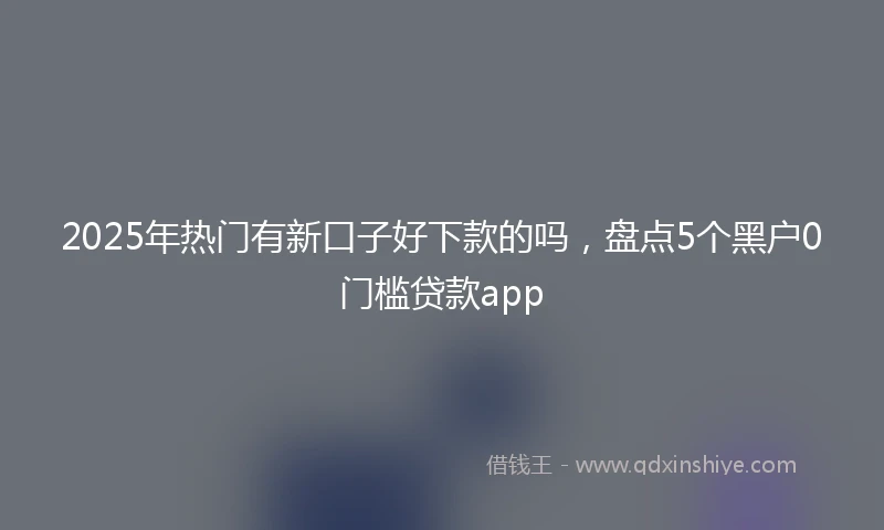 2025年热门有新口子好下款的吗，盘点5个黑户0门槛贷款app