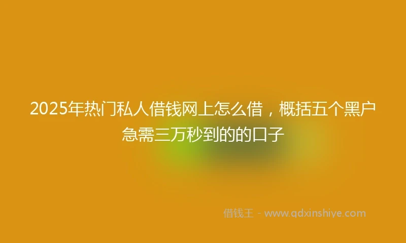 2025年热门私人借钱网上怎么借，概括五个黑户急需三万秒到的的口子
