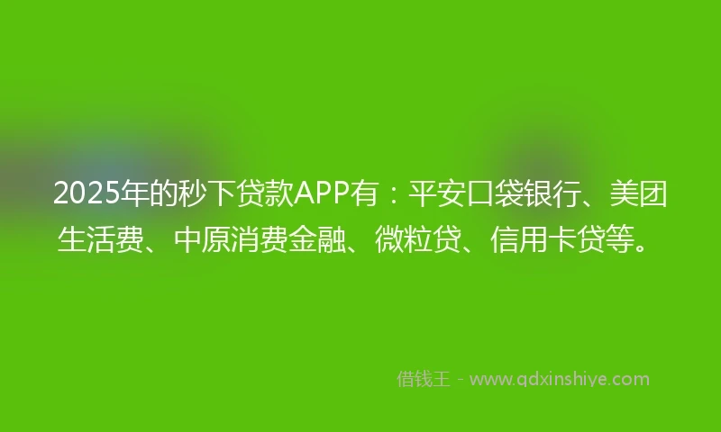 2025年的秒下贷款APP有：平安口袋银行、美团生活费、中原消费金融、微粒贷、信用卡贷等。