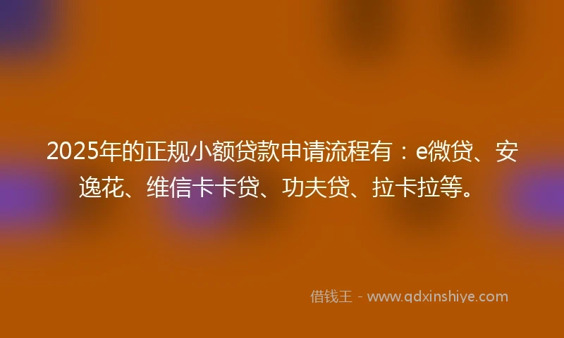 2025年的正规小额贷款申请流程有：e微贷、安逸花、维信卡卡贷、功夫贷、拉卡拉等。