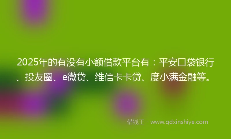 2025年的有没有小额借款平台有：平安口袋银行、投友圈、e微贷、维信卡卡贷、度小满金融等。