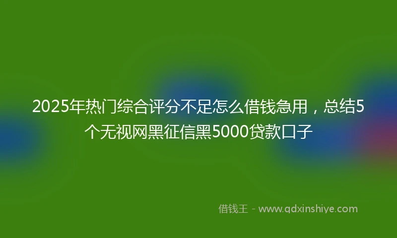 2025年热门综合评分不足怎么借钱急用，总结5个无视网黑征信黑5000贷款口子