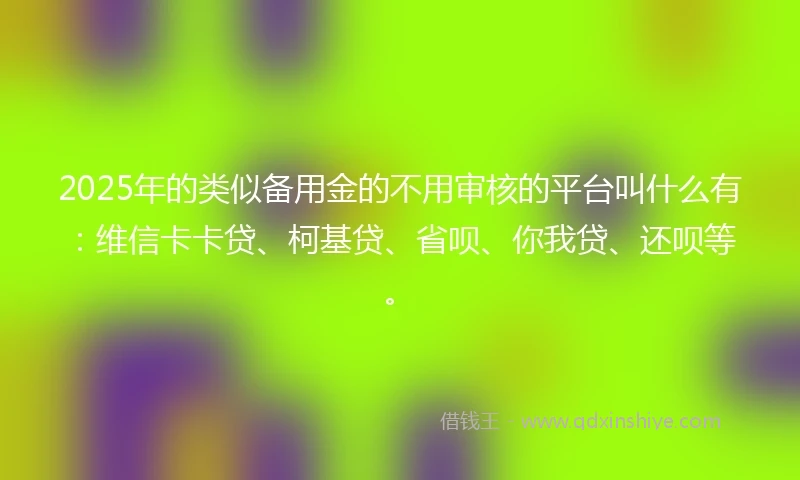 2025年的类似备用金的不用审核的平台叫什么有：维信卡卡贷、柯基贷、省呗、你我贷、还呗等。